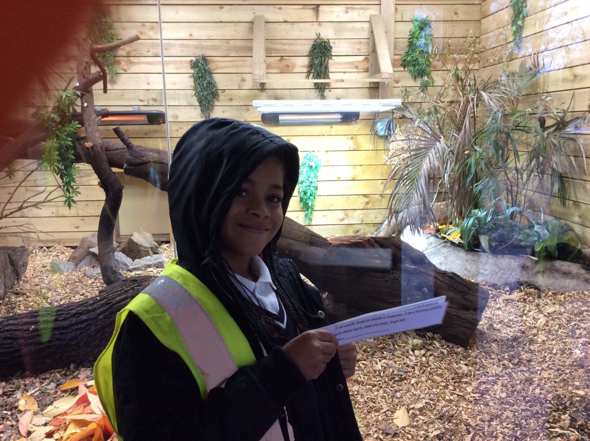 Year 4 Visit the Birmingham Wildlife Conservation Park Tiverton Academy